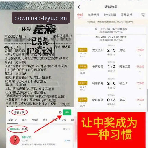 资深用户分享：乐鱼体育平台官方正版下载的安全心得与趋势分析