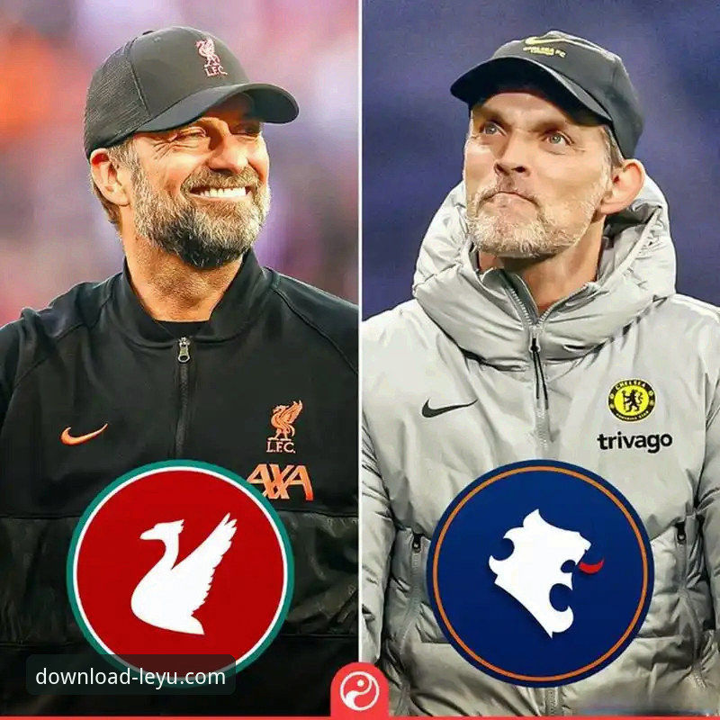 乐鱼APP安装包 利物浦客场完胜晋级,乐鱼体育高清直播带来沉浸式足总杯观赛体验深度分析